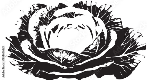 Monochrome rose illustration with detailed petals and shading.