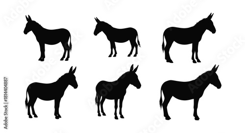 Silhouette collection of donkeys in various poses and perspectives