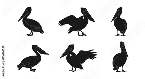 Silhouettes of pelicans in various poses a monochromatic wildlife illustration