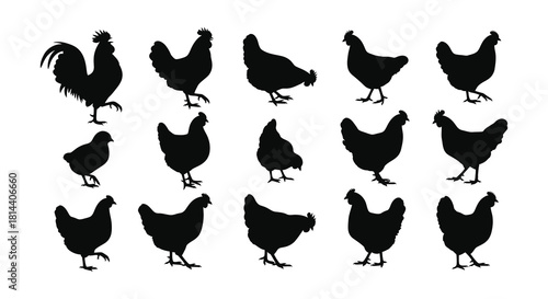 Silhouettes of a rooster and several hens in a grid arrangement