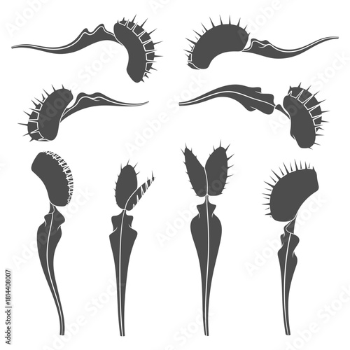 Set of black and white illustrations of venus flytrap. Isolated vector objects.