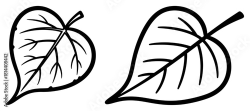 peepal leaves sacred fig bodhi tree leaf line art vector