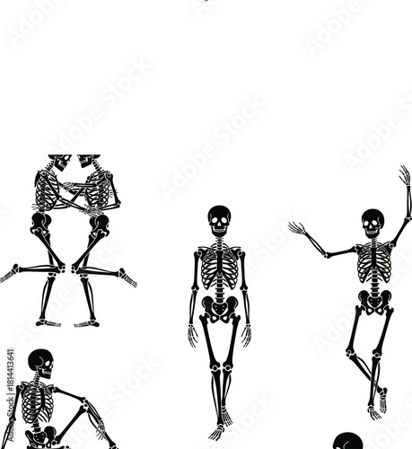 Collection of abstract and stylized human skeleton figures in dynamic poses, perfect for Halloween graphics, anatomical illustrations, medical design, or modern dance concepts and backgrounds
