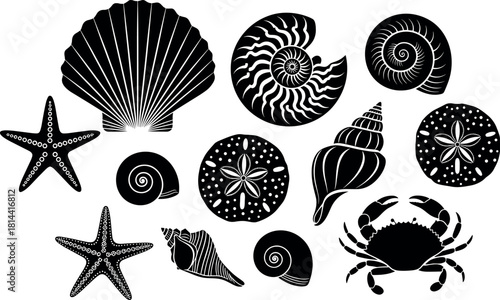 Diverse Sea Shells and Marine Life Silhouettes Vector Set, Featuring Scallop, Starfish, Crab, and Snail Shells, Ocean Beach Decoration Graphics.