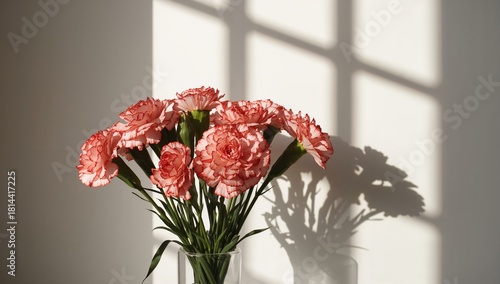 Pink Flowers Casting Shadows on a Wall in Soft Evening Light