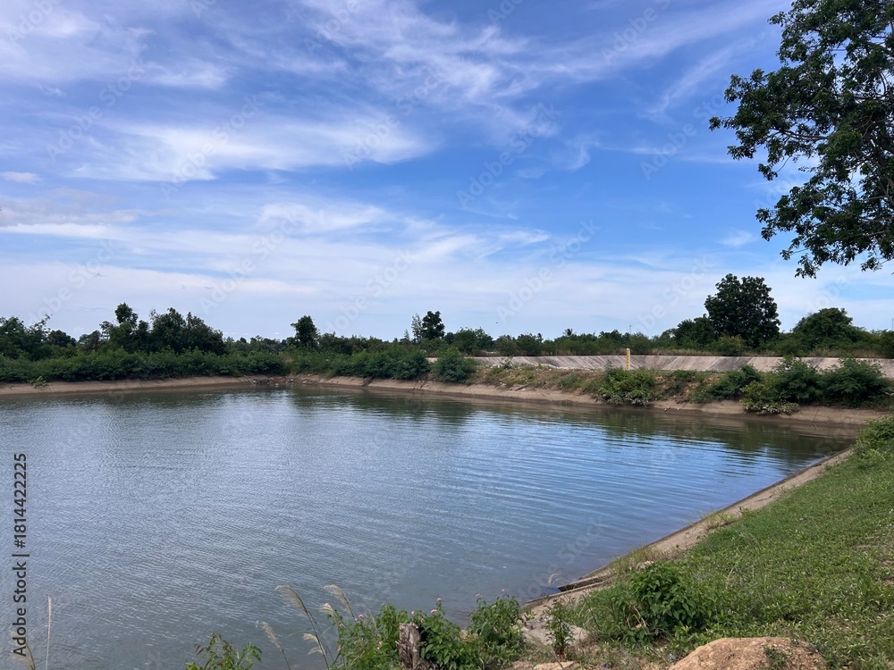 Fototapeta premium lake in the park