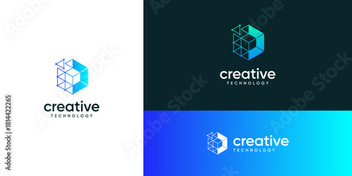 Modern cube hexagonal with dots and lines connected structure in tech network system, logo design ideas. Creative vector illustration based icons template.