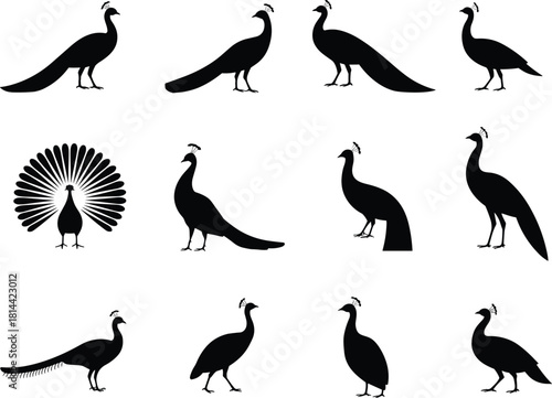 PrintPeacock Silhouette Vector Set, Elegant Bird with Tail Feathers, Peafowl, and Peahen in Various Poses for Luxury Logo Design