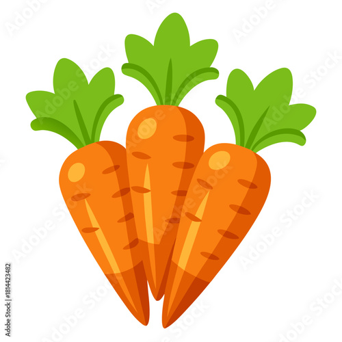 Carrot bunch cartoon object on a white background vector illustration