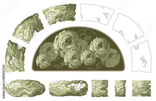 Top view of landscape shrubs and hedges. Entourage elements for architectural plans. Vector.