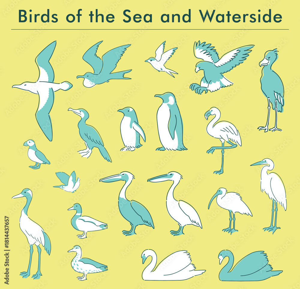 Naklejka premium 海と水辺の鳥の手描きイラストセット