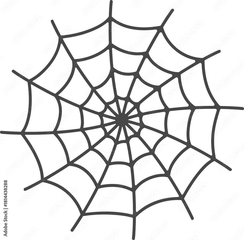 Obraz premium spider web