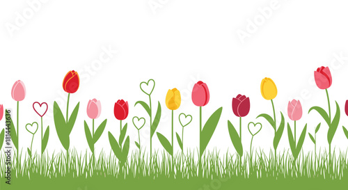 Seamless border of colorful tulips and hearts growing in green grass on a white background.
