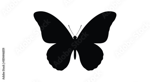 Black butterfly silhouette isolated on white background