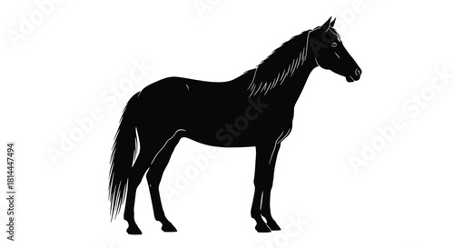 Black horse silhouette standing profile isolated on white background