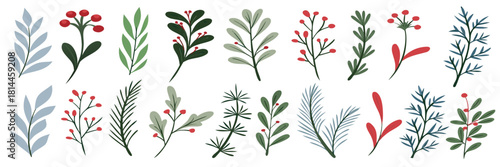 Festive botanical collection with red berries and winter leaves. Minimal floral twigs and branches in calm colors. Elegant design for Christmas decorations
