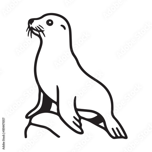 Playful sea lion illustration with vibrant colors