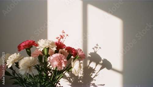 Colorful Flowers Casting Shadows on a Bright Wall During Midday Light
