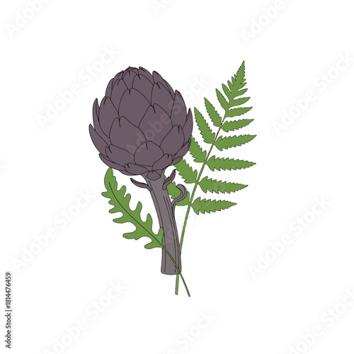 Minimalist botanical vector illustration featuring a purple artichoke with fern and rocket leaves, ideal for a clean, modern poster design