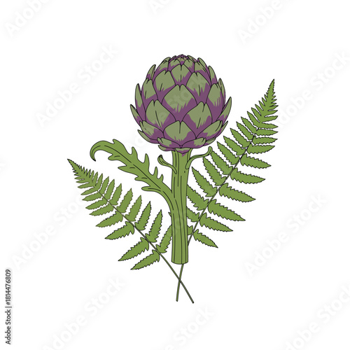 Elegant botanical vector graphic featuring a detailed globe artichoke and green fern fronds. A bold outline illustration for poster design