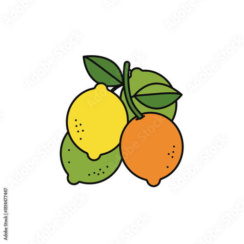 An artistic vector illustration showing a fresh composition of overlapping citrus fruits, including lemon, orange, and lime on a botanical branch