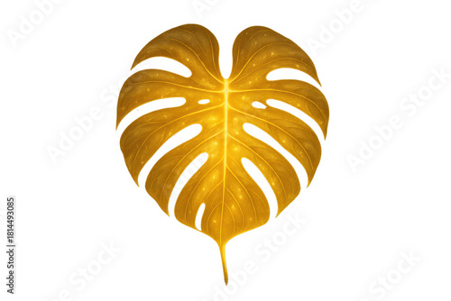 Golden monstera leaf illustrating tropical elegance and abstract luxury, a decorative individual element with a transparent background