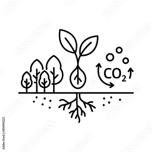 Carbon sequestration process isolated on, a concept of natural carbon capture