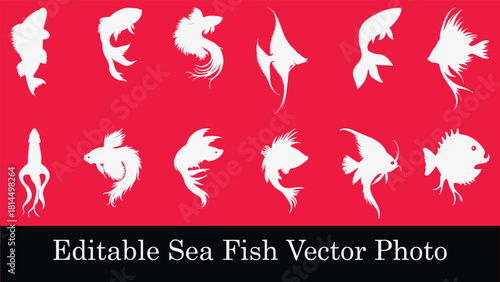 Detailed eps file metadata analysis reveals illustrator version and document properties