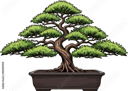 living artistry cultivating natures grandeur in a serene miniature ecosystem, isolated on transparent background