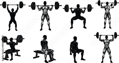 Bodybuilder silhouette set with muscle anatomy, weightlifting workout vector, gym fitness exercises, heavy barbell training, muscular man illustration