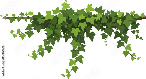 verdant garland evergreen vines adorning spaces, symbolizing connection and enduring growth, isolated on transparent background