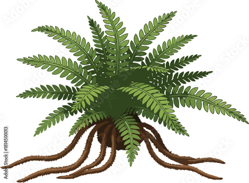 verdant undercurrent primal roots weaving earths story, a symbol of deep connection, isolated on transparent background