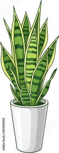 architectural green a resilient sansevieria icon for modern living spaces, isolated on transparent background