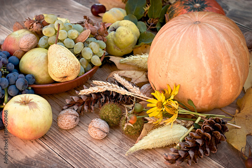  Organic autumn fruits and vegetables on rustic wooden background, autumn still life with pumpkins, autumn harvest