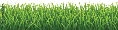 Fresh green grass isolated on white background close up