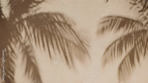 Textured wall with dappled palm leaf shadows creating a natural pattern