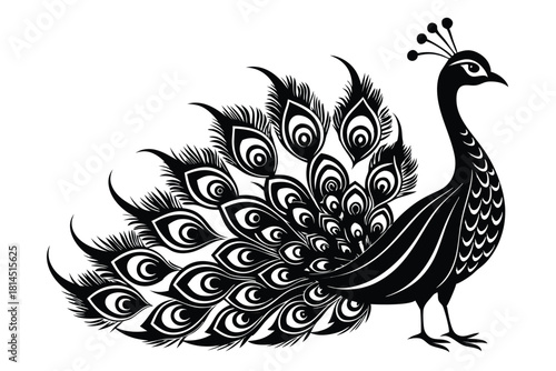 elegant peacock silhouette with luxurious tail feather