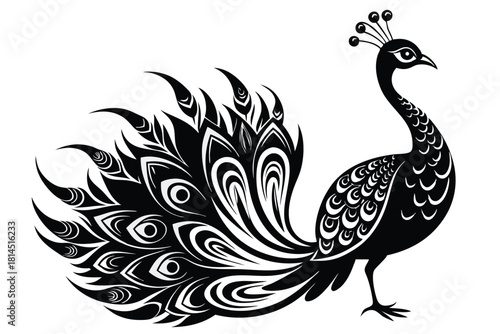 elegant peacock silhouette with luxurious tail feather