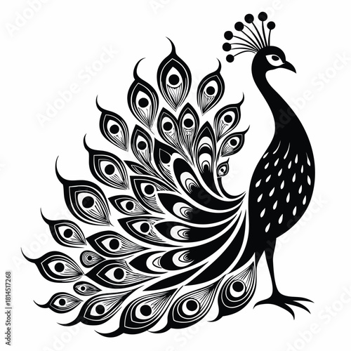 elegant peacock silhouette with luxurious tail feather