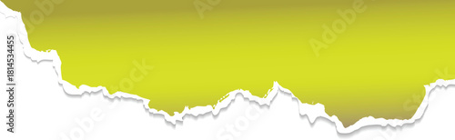 vector illustration of a abstract torn paper