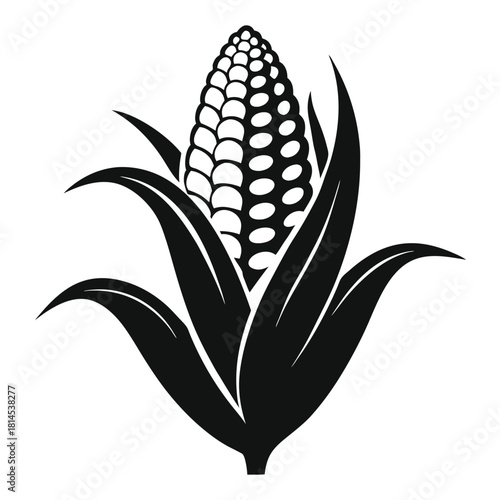 corn cob black and white silhouette on white background