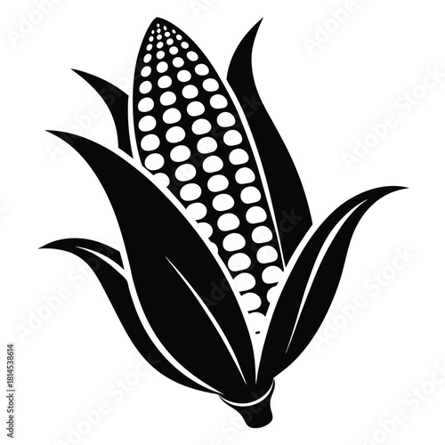 corn cob black and white silhouette on white background