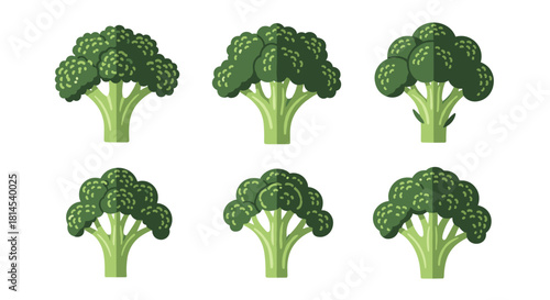Six cartoon illustrations of broccoli florets arranged in two rows on a white background.