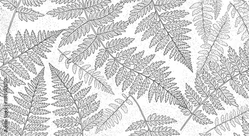 Delicate black and white line drawing of overlapping fern fronds on a speckled background.