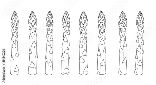 Line drawing of eight asparagus spears in a row, with detailed tips and leaves.