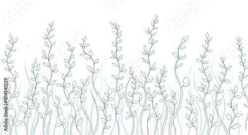 Delicate line drawing of a border of plants and grasses with a light blue wash.