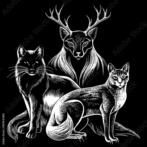 Three wild animals including a fox and two cats silhouette isolated on white background