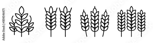 Outline set of wheat grain cereal agriculture plant food icons