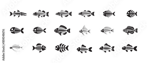 Set of black fish skeletons with intricate bone structures on white background for design elements