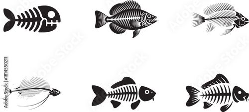 Six detailed fish skeletons illustrating various species and bone formations on transparent background
